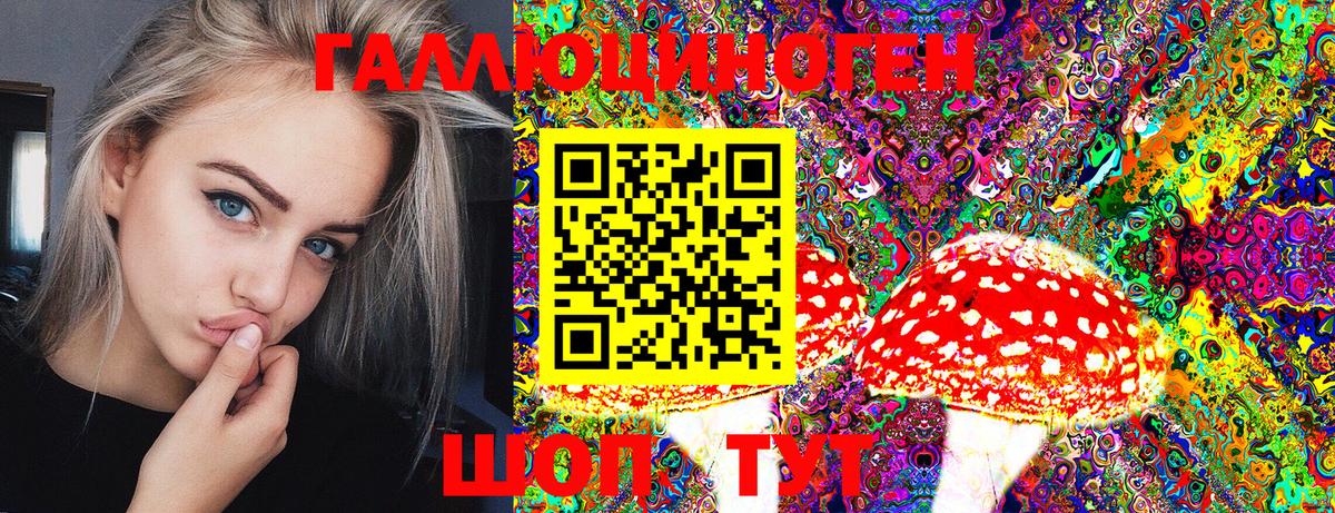 купить наркоту  Галлюциногенные грибы Magic Shrooms  Вход с VPN  Донской 