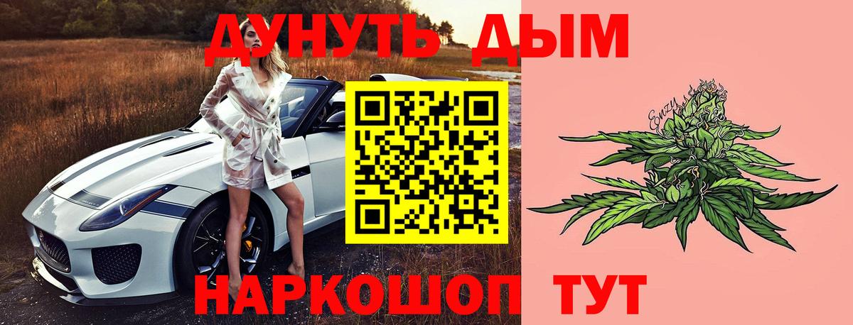 Бошки Шишки план  МАРИХУАНА планчик  Вход с VPN  Каннабис марихуана  Донской 