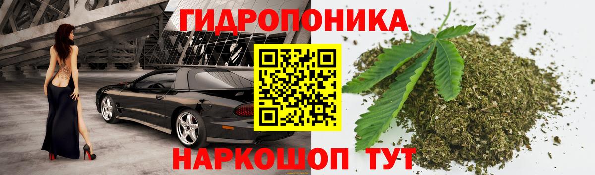 Конопля планчик Донской